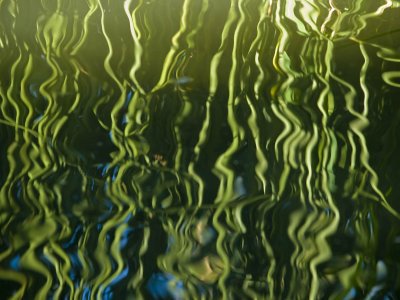 Reflection2.jpg
