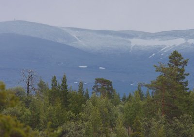 Nipfjllet