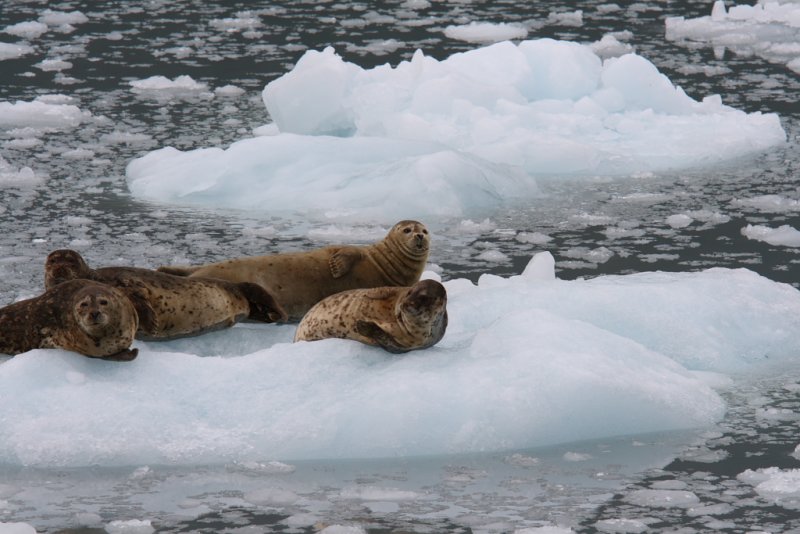 Look us lying here...