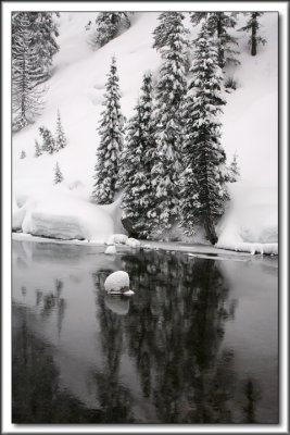 Winter Reflection