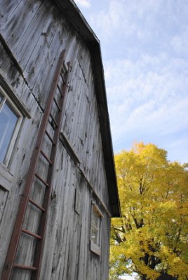 131481.jpe  Mont-Saint-Hilaire, QC