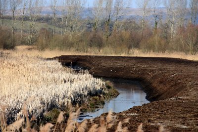 Peat Extraction