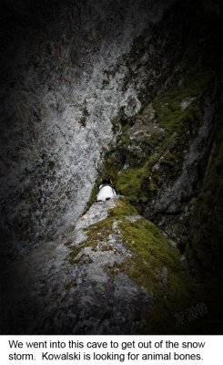IMG_5240.jpg