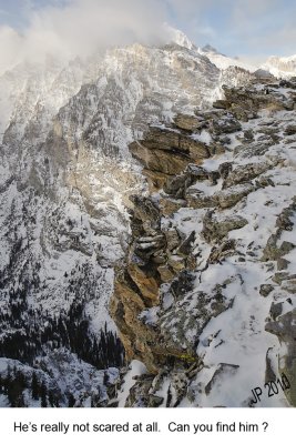 _MG_2005.jpg