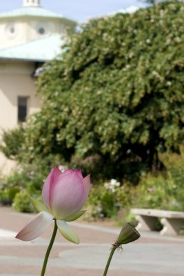 DSC06944a.jpg