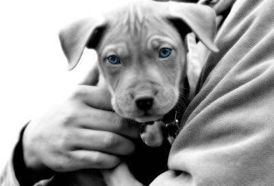 blue eyes
