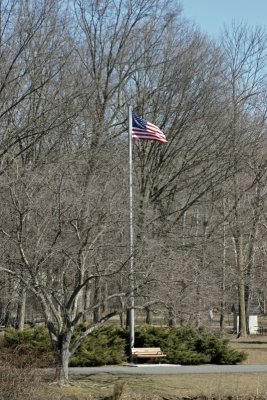 DSC03111a.jpg
