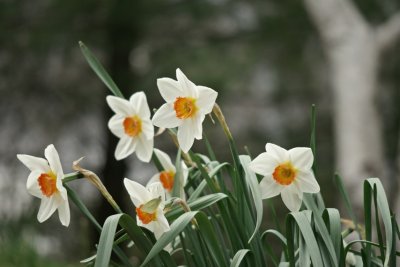 DSC04394a.jpg