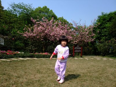 Melisas in the Sakura Garden