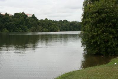MacRitchie Reservoir