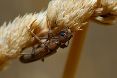 DSC_0081.JPG