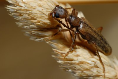 DSC_0084.JPG