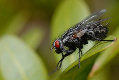 DSC_0103.JPG