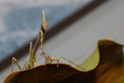 DSC_0001.JPG