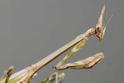 DSC_0011.JPG