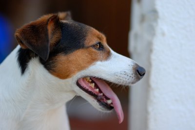 DSC_0094.JPG