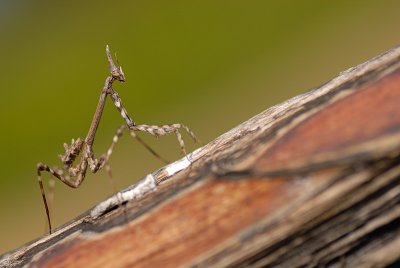 DSC_0048.JPG