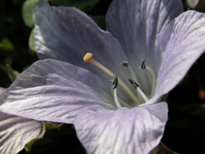 DSCN0037.jpg