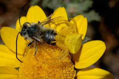 DSC_0064.JPG