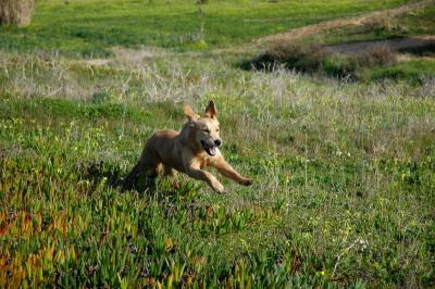 DSC_0210.jpg