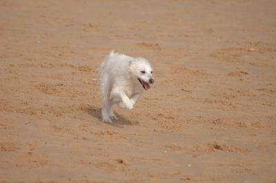 DSC_20.JPG