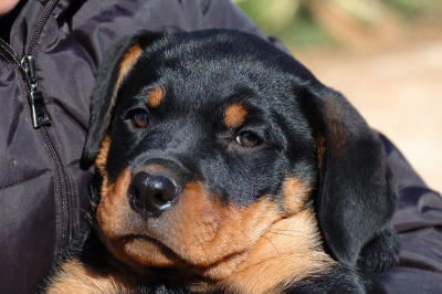 DSC_0199.jpg