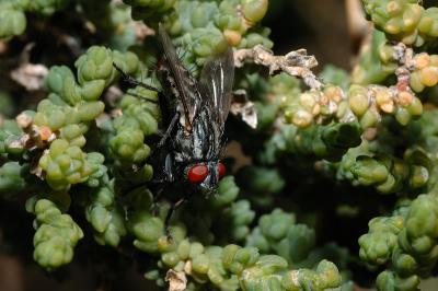 DSC_0018.jpg