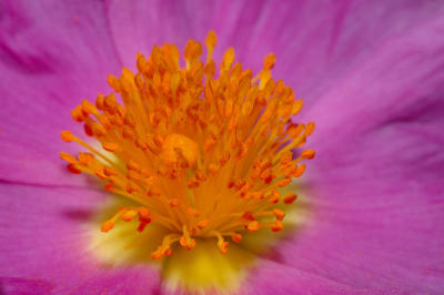 DSC_0154.jpg