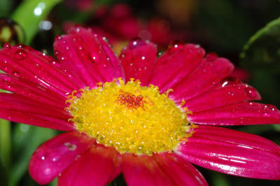 DSC_0009.jpg