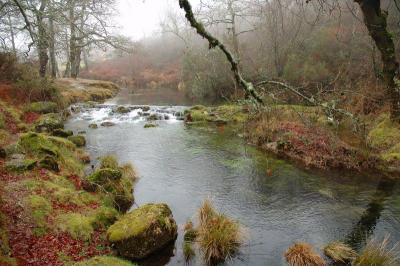 DSC_0038.jpg
