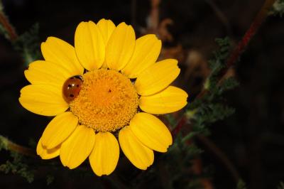DSC_0008.jpg