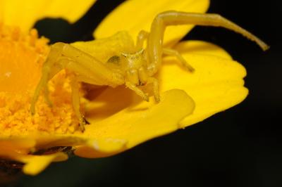 DSC_0060.JPG