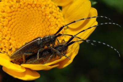 DSC_0060.JPG