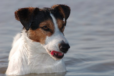 DSC_0050.JPG