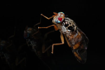 DSC_0003.JPG