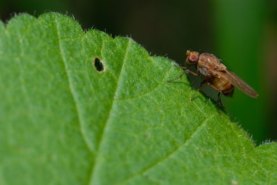 DSC_0001.JPG