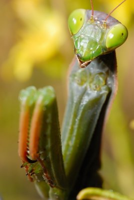 DSC_0121.JPG
