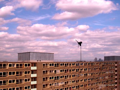 P5096569XVSP.jpg