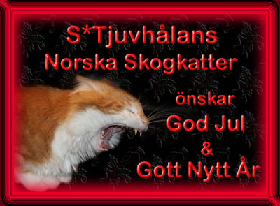 X-mas card from S*Tjuvhlans NFO 2009