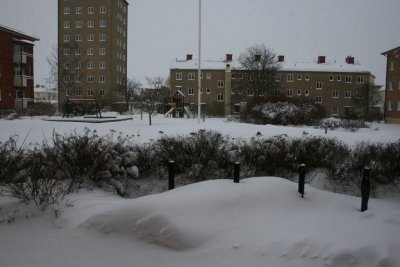 g3/38/203938/3/122896989.HfI1tfSD.jpg