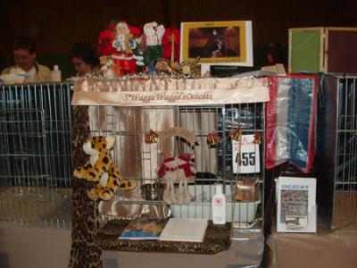 SaturdayX-mas decorated cage