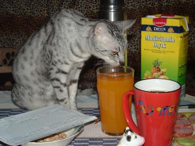 Multivitamine Juice is good!2006-01-05