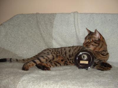 SVERAK/FIFe = 5th Best Adult cat.lll 2005