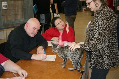 SaturdayPrincess on the judge table