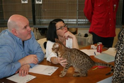 who have a new judge pupil at his table