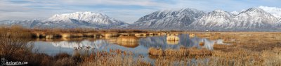 Utahlake.jpg