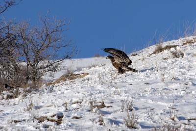 IMG_8449