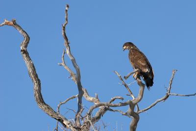 IMG_8461