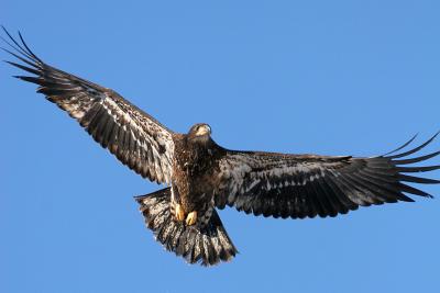 IMG_8470