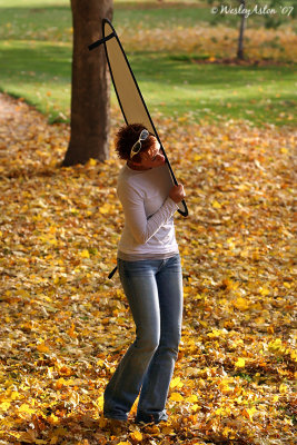 Reflector help